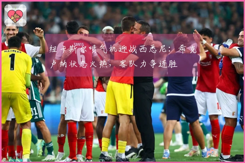 纽卡斯尔喷气机迎战西悉尼：希克卢纳状态火热，客队力争连胜
