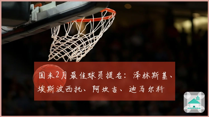 国米2月最佳球员提名：泽林斯基、埃斯波西托、阿坎吉、迪马尔科