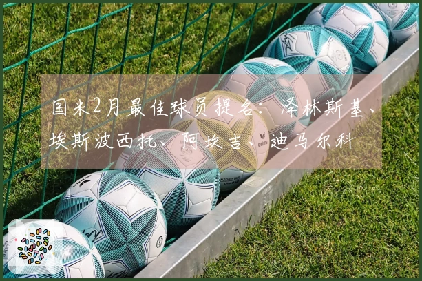 国米2月最佳球员提名：泽林斯基、埃斯波西托、阿坎吉、迪马尔科