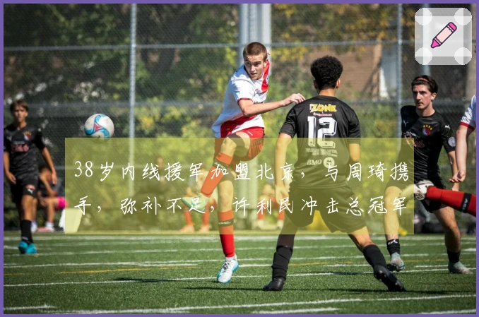 38岁内线援军加盟北京，与周琦携手，弥补不足，许利民冲击总冠军有望