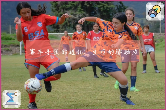 赛车手颈部进化：生存的驱动力